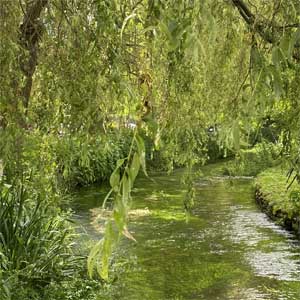 Hidden Waterways of Winchester 1 Hidden1
